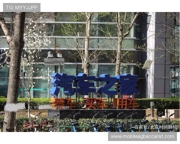 百家LE：打造全方位多渠道娱乐内容平台